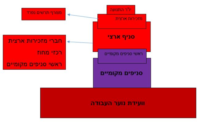 חוקת נוער העבודה