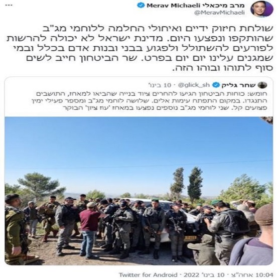 מרב מיכאלי