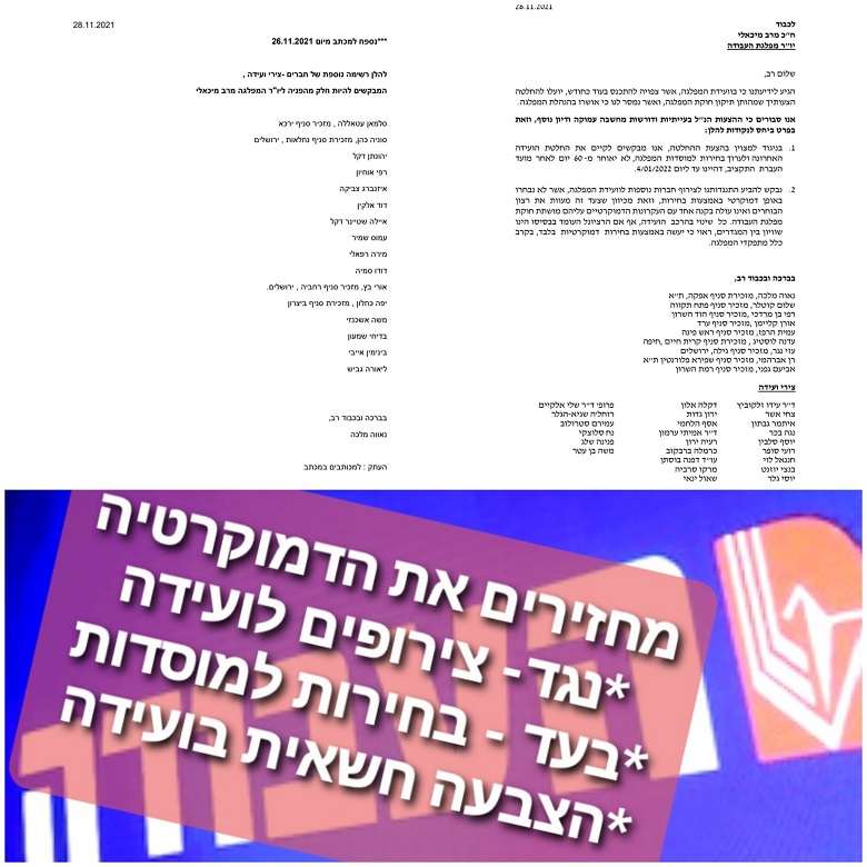 נאווה מלכה