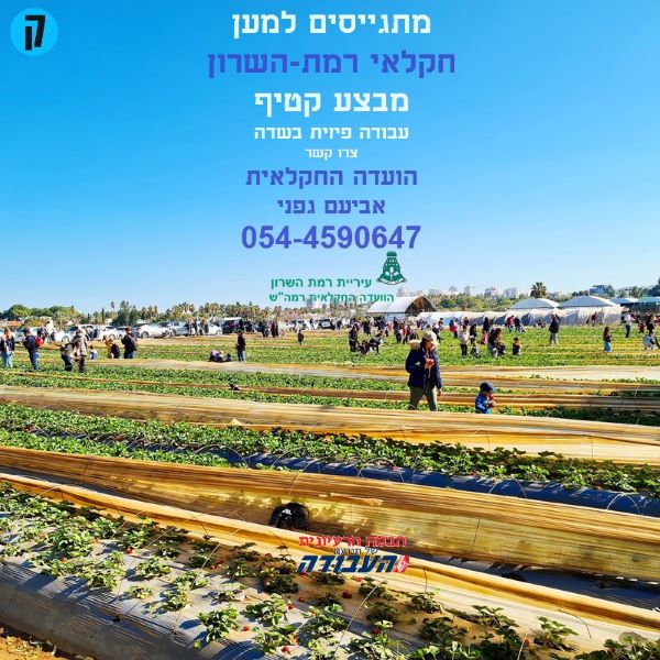 סניף העבודה רמת השרון